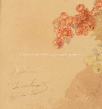  / Rybízový keř / Ernst Erwin Oehme