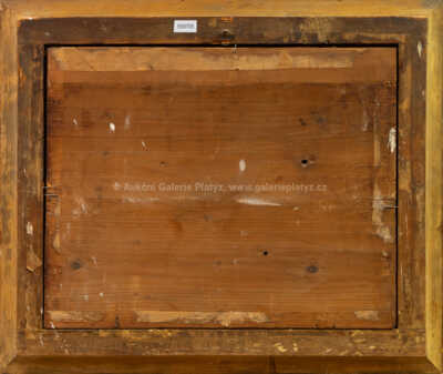  / Rybízový keř / Ernst Erwin Oehme