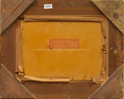  / Venkovský rybník / Josef Procházka