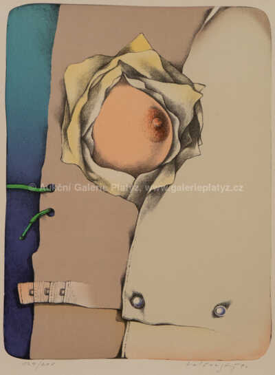  / Růže z Jericha / Josef Velčovský