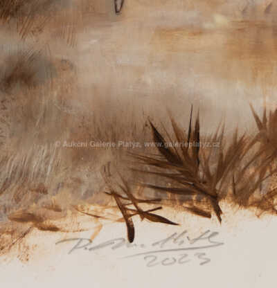  / Gomphotherium angustidens / Petr Modlitba