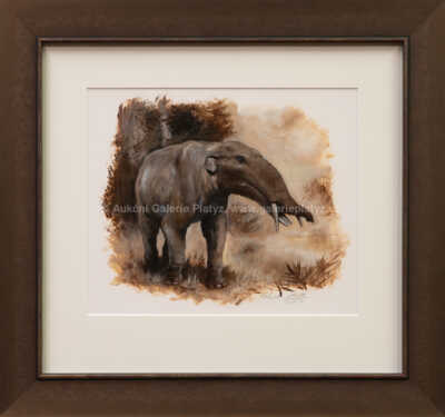 Petr Modlitba - Gomphotherium angustidens