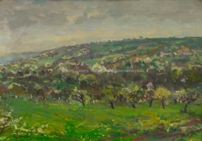  / Ovocné sady na Moravě / Vladimír Hroch