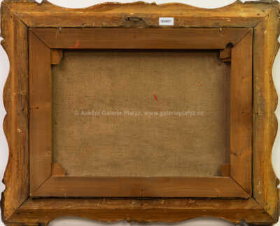  / Zátiší s ovocem / František Daněk - Sedláček