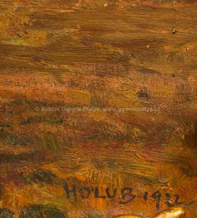  / Červánky /  Josef Holub