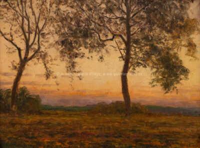  / Červánky /  Josef Holub