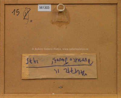  / Dvorek v Javoří / Karel Valter