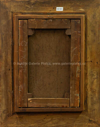  / Krajina s bystřinou / Albín Lhota