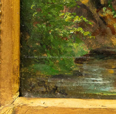  / Krajina s bystřinou / Albín Lhota