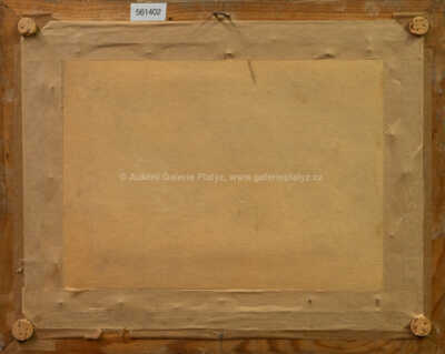  / Rybník Staňkov / Karel Langer