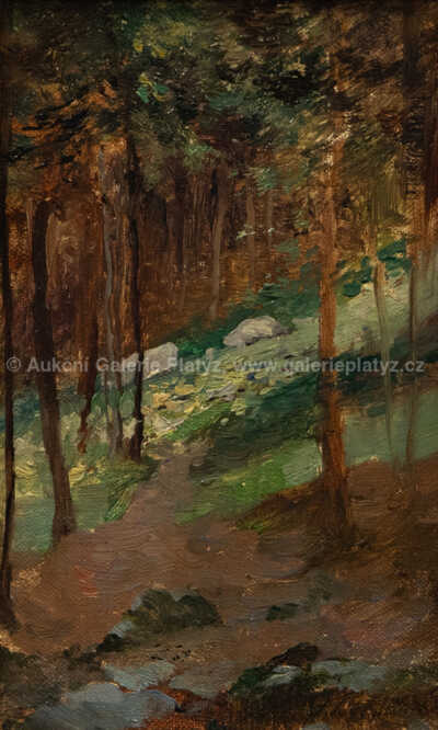  / Lesní interiér / Adolf Liebscher