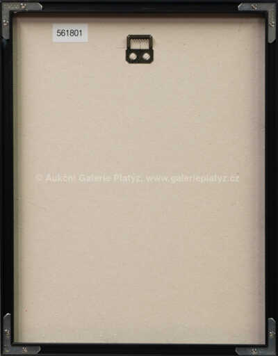  / Letadlo nad balvany / Kamil Lhoták