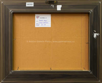  / Stará známost / Pavel Pardy