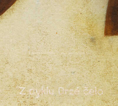  / Z cyklu Drzé čelo / Vlastimil Zábranský