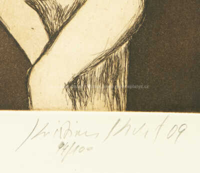  / Anděl / Kristian Kodet