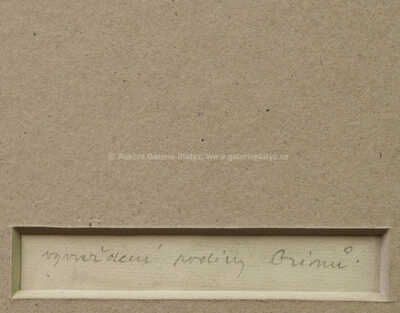  / Vyvraždění rodiny Grinů / Zdeněk Sklenář