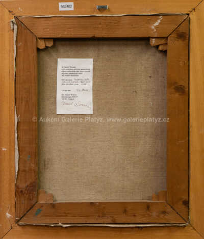  / Tajemný dům / Richard Wiesner