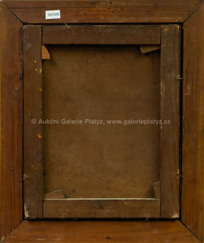  / Portrét dívky /   Neznačeno