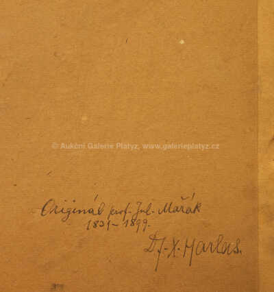  / Lesní interiér / Julius Mařák