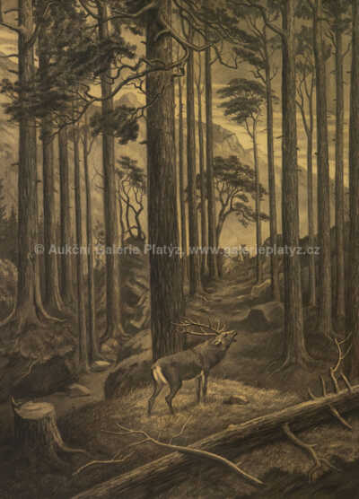  / Lesní interiér / Julius Mařák