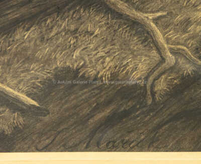  / Lesní interiér / Julius Mařák