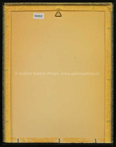  / Dívka - fragment, varianta s kresbou / Jiří Anderle