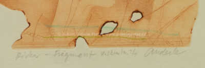  / Dívka - fragment, varianta s kresbou / Jiří Anderle