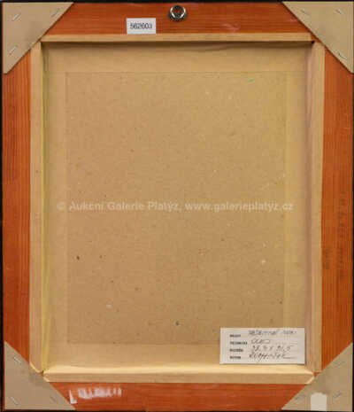  / Průsvitné noci / Milan Romaňák