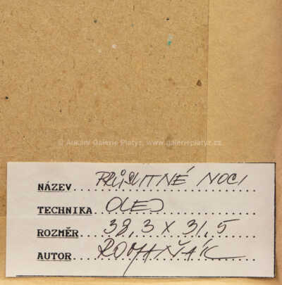  / Průsvitné noci / Milan Romaňák