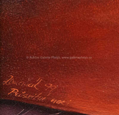  / Průsvitné noci / Milan Romaňák