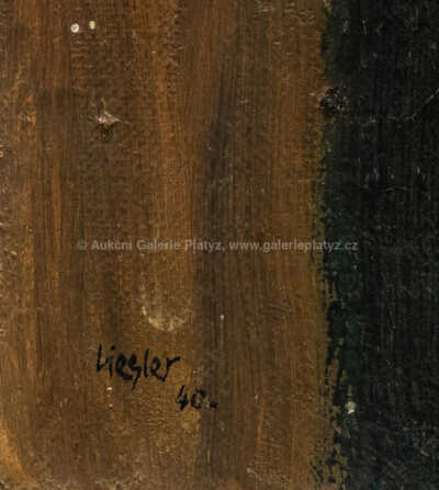  / Portrét ženy / Josef Liesler