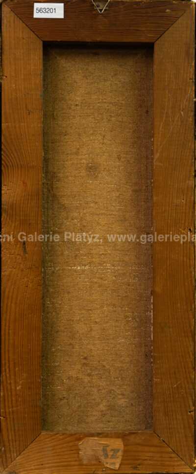  / Portrét ženy / Josef Liesler