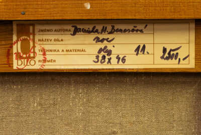  / Noc / Daniela Benešová