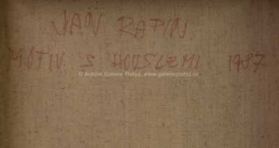  / Motiv s houslemi / Jan Rapin