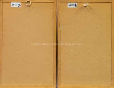  / Konvolut dvou kusů / Adolf Born