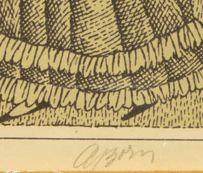  / Konvolut dvou kusů / Adolf Born