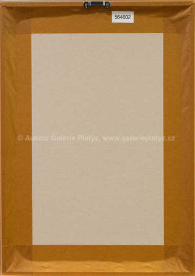  / Touha po řádu věcí / Jan Kanyza