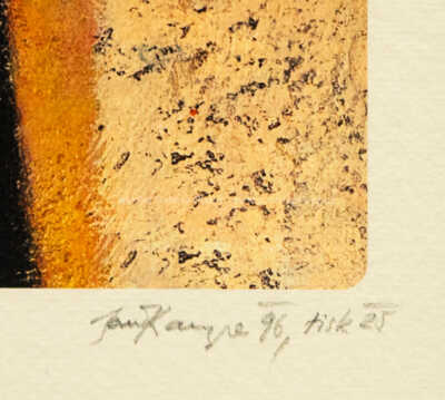  / Touha po řádu věcí / Jan Kanyza