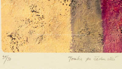  / Touha po řádu věcí / Jan Kanyza