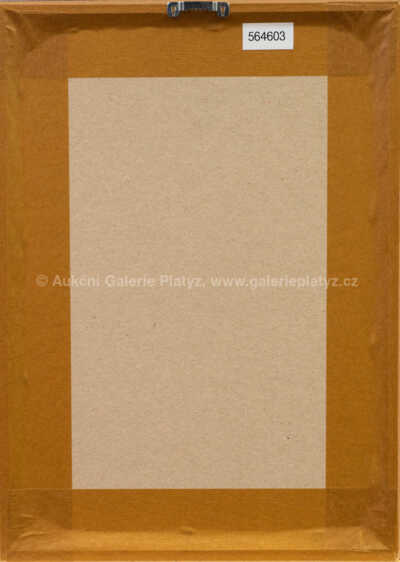  / Středověké maškarády / Adolf Born