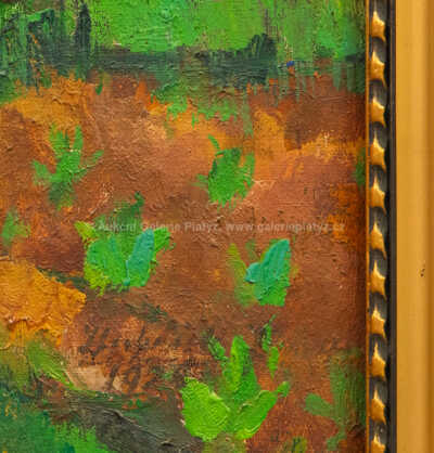  / Dům na Korsice / Josef Hubáček