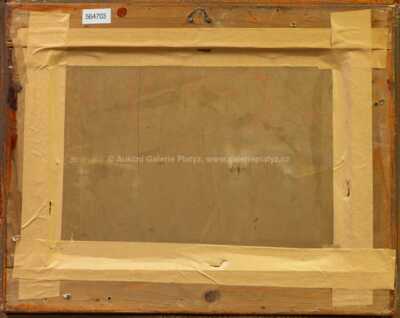  / Kosatce / Jan Rambousek