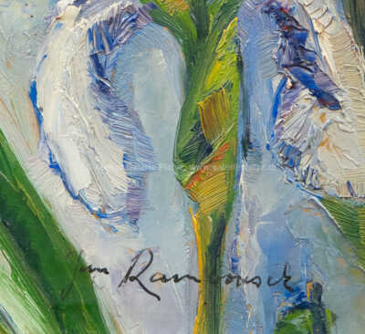  / Kosatce / Jan Rambousek