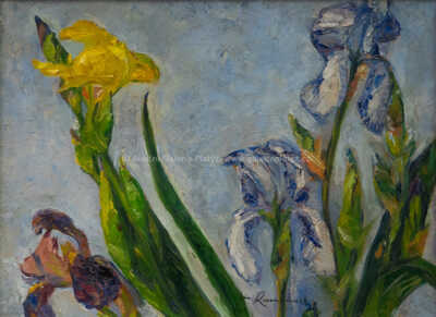  / Kosatce / Jan Rambousek