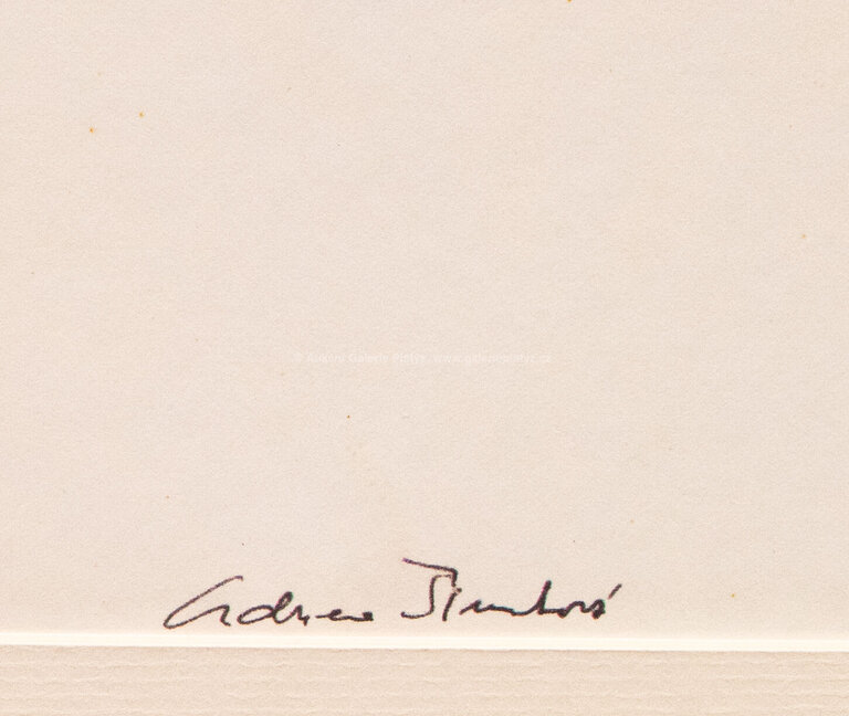  / Srdce a kříž / Adriena Šimotová