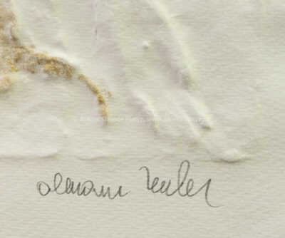  / Vlasatice střední / Olbram Zoubek