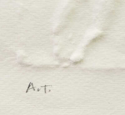  / Vlasatice střední / Olbram Zoubek