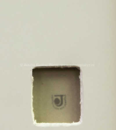  / Portrét ženy / Ota Janeček