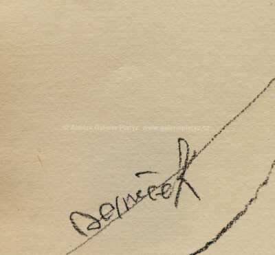  / Portrét ženy / Ota Janeček