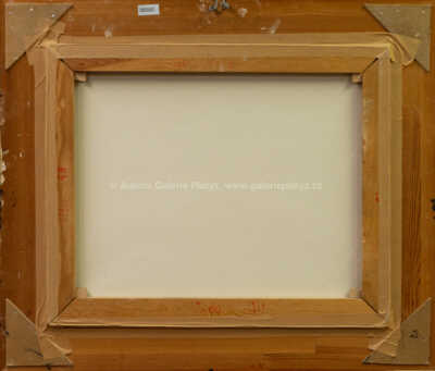  / Snová krajina / Zdeněk Hajný